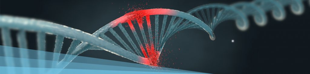 Blu Genes Foundation