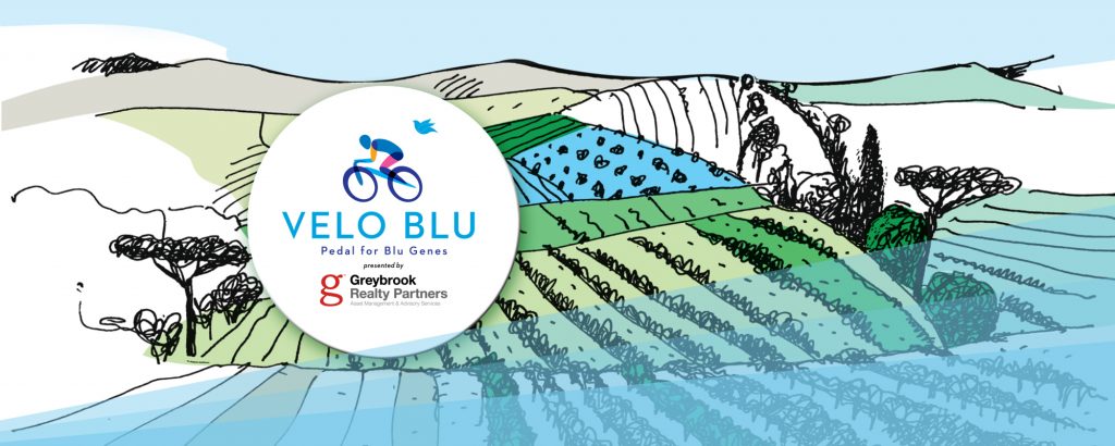 Blu Genes Foundation