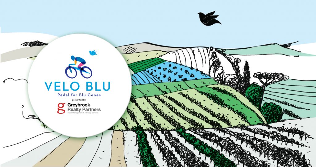 Blu Genes Foundation
