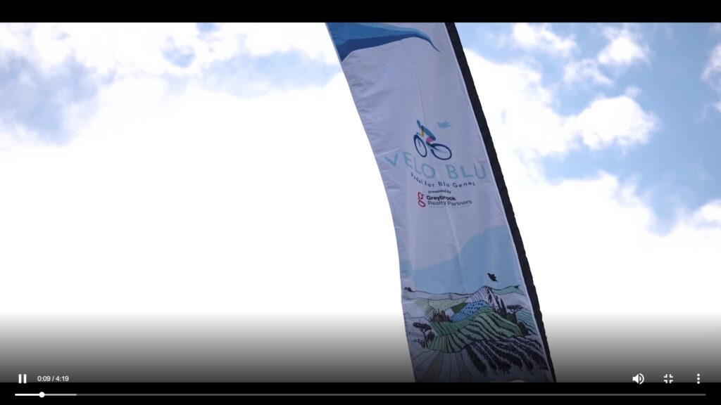 Blu Genes Foundation