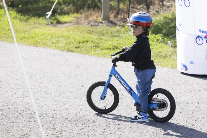 Blu Genes Foundation