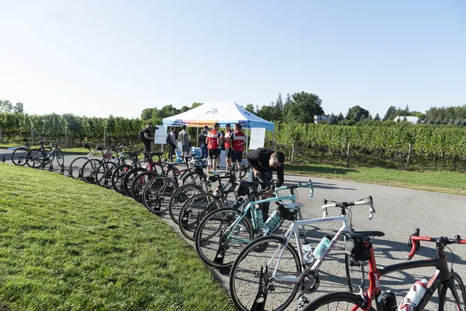 Blu Genes Foundation