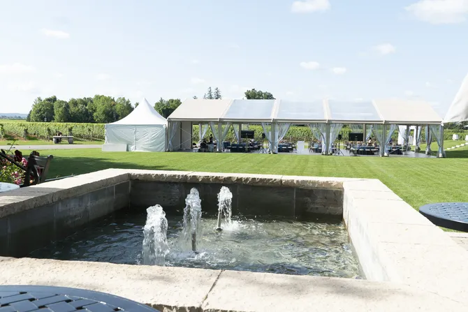 Blu Genes Foundation