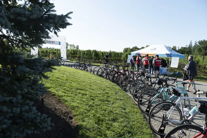 Blu Genes Foundation