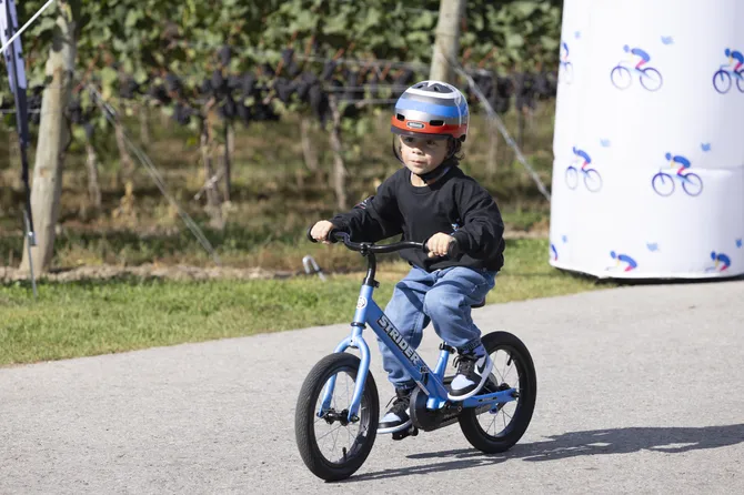 Blu Genes Foundation