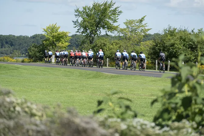 Blu Genes Foundation