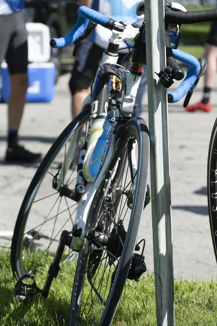 Blu Genes Foundation