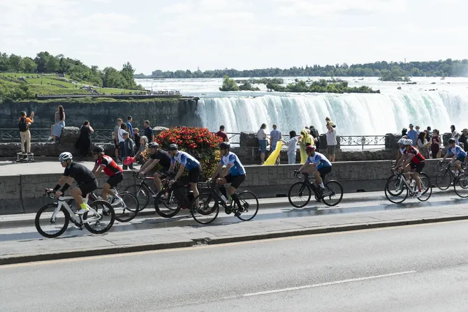 Blu Genes Foundation