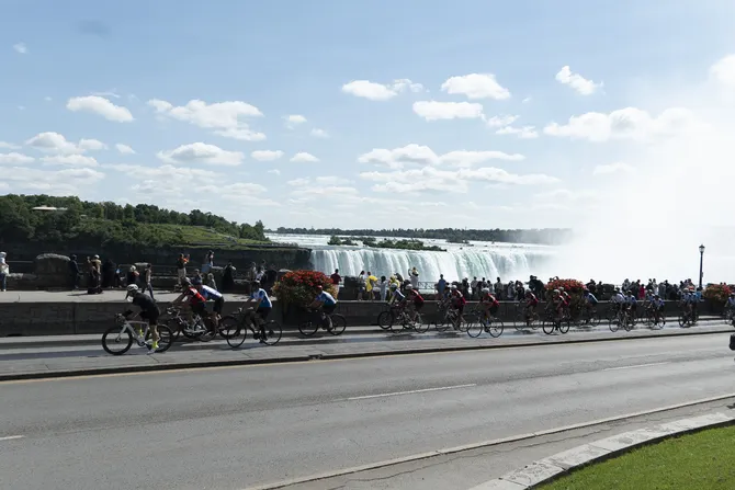 Blu Genes Foundation