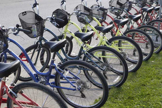 Blu Genes Foundation