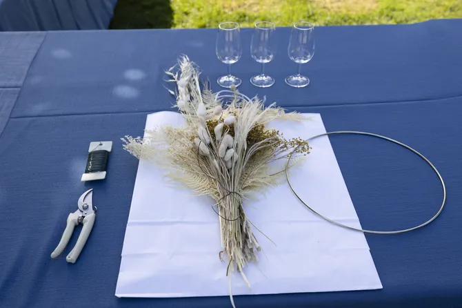 Blu Genes Foundation