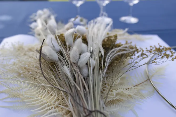 Blu Genes Foundation