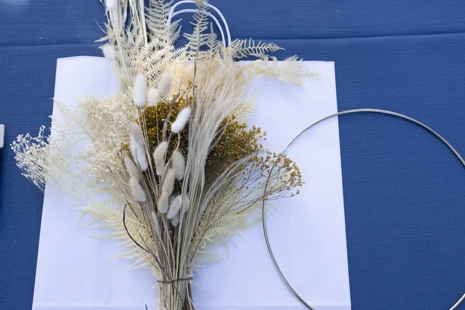 Blu Genes Foundation