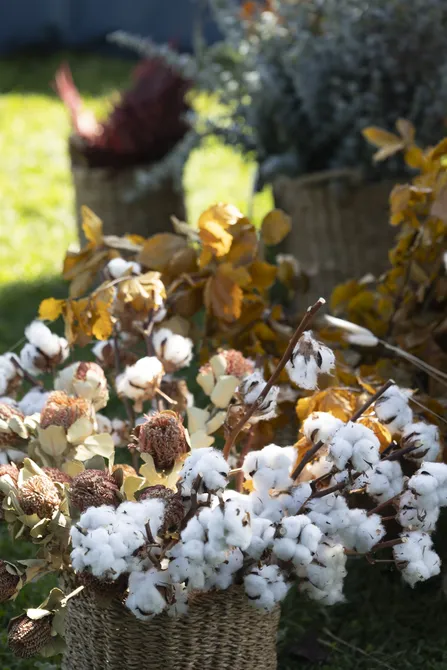 Blu Genes Foundation