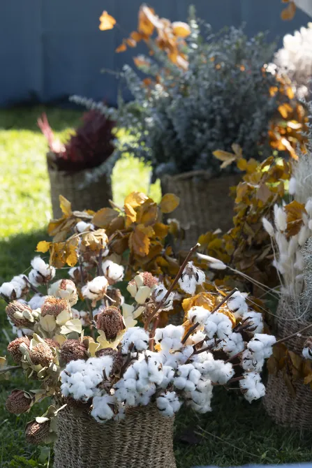 Blu Genes Foundation