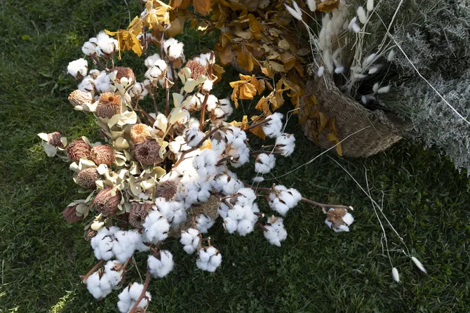 Blu Genes Foundation