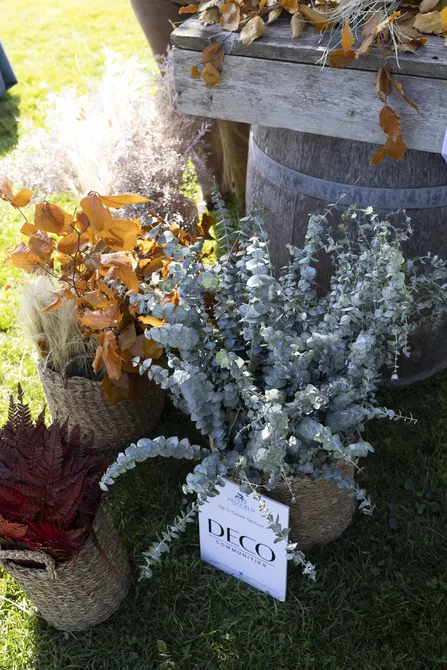 Blu Genes Foundation