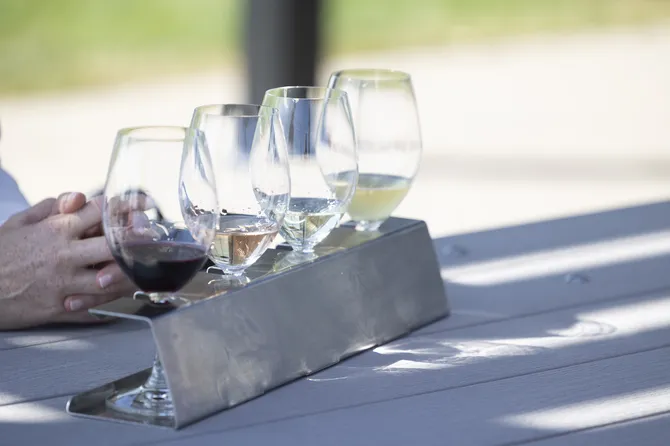 Blu Genes Foundation