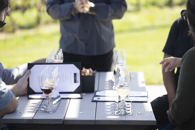 Blu Genes Foundation