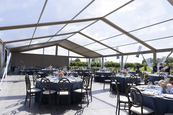 Blu Genes Foundation