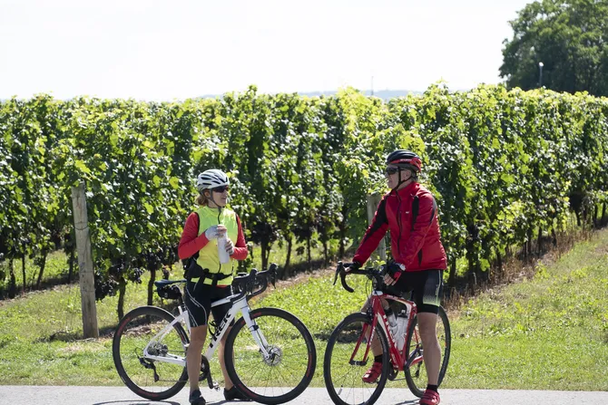 Blu Genes Foundation