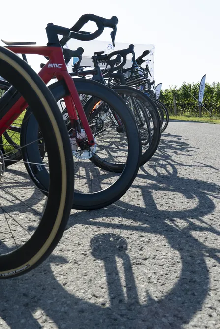 Blu Genes Foundation