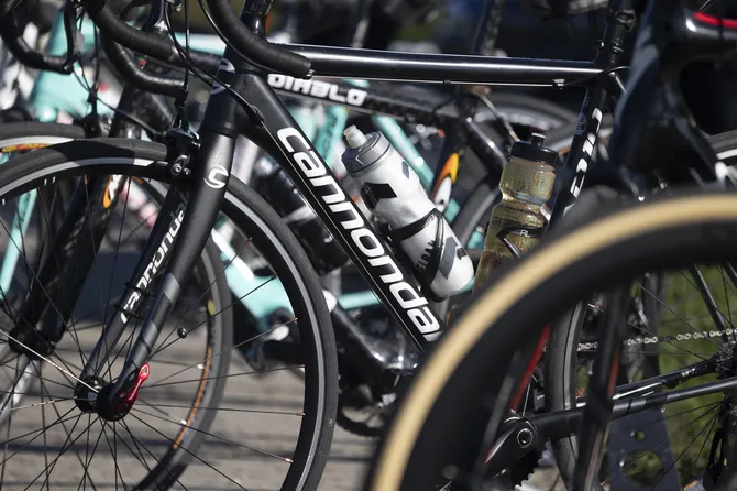 Blu Genes Foundation