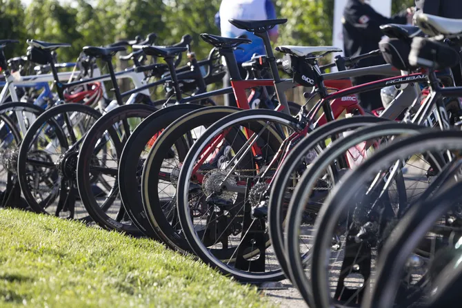 Blu Genes Foundation