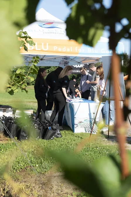 Blu Genes Foundation