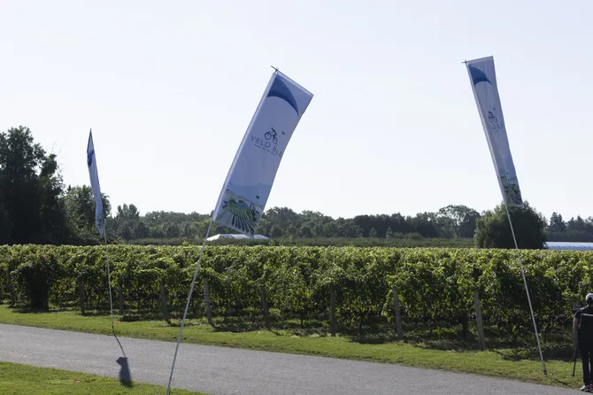 Blu Genes Foundation