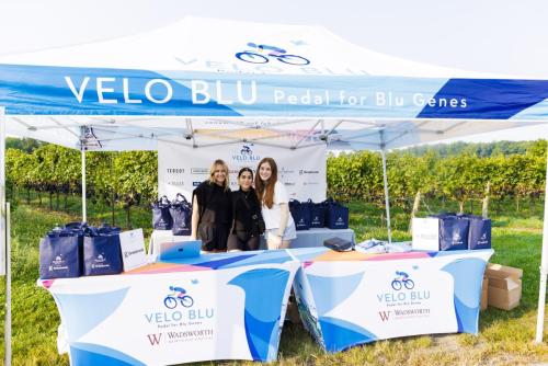 VELO BLU-1015