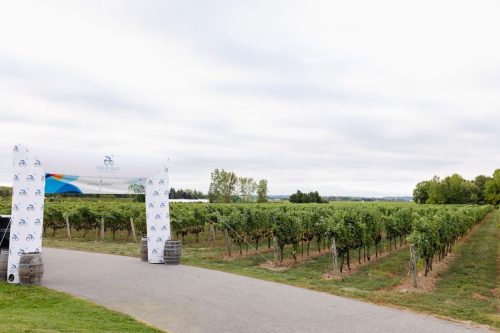 250919 IndigoEvents 0003