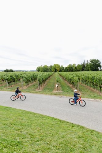 250919 IndigoEvents 0135