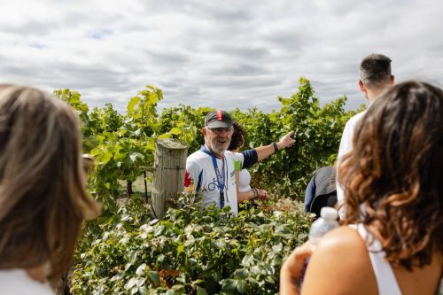 250919 IndigoEvents 0714