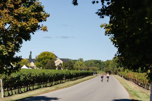 250919 IndigoEvents 0876