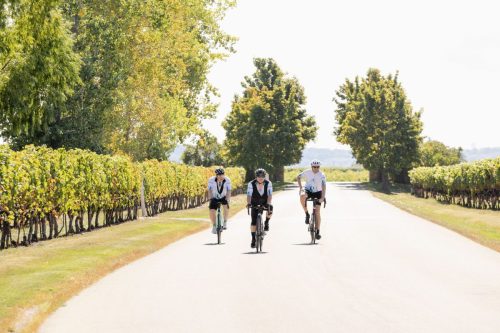 250919 IndigoEvents 0915