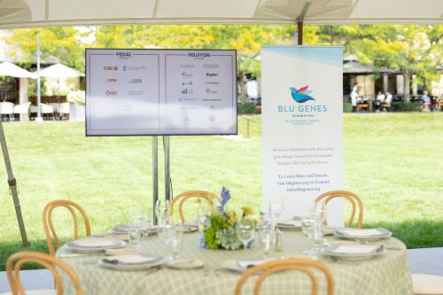 260918 IndigoEvents 0693