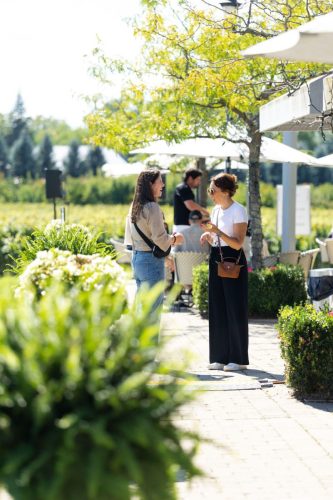 260918 IndigoEvents 0781-scaled